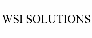 wsi solutions