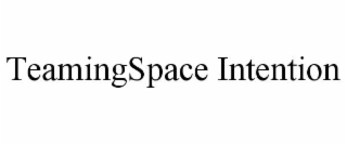 teamingspace intention