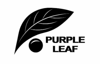 purple leaf