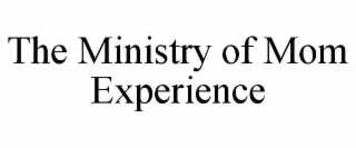 the ministry of mom experience