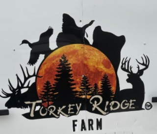 turkey ridge taxidermy