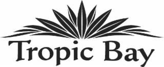 tropic bay