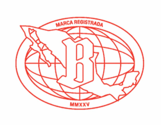 b marca registrada mmxxv