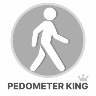 pedometer king