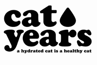 cat years a hydrated cat is a healthy cat