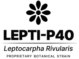 lepti-p40 leptocarpha rivularis proprietary botanical strain