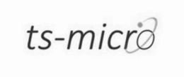 ts-micro