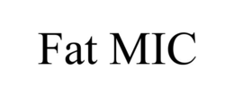 fat mic