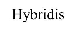 hybridis