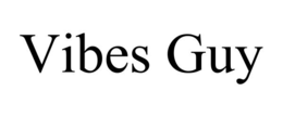 vibes guy