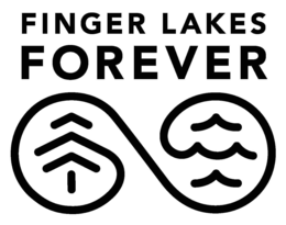 finger lakes forever