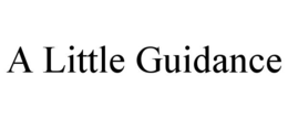 a little guidance