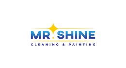 mr. shine cleaning & painting