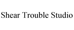 shear trouble studio