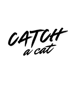 catch a cat
