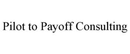 pilot to payoff consulting