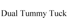 dual tummy tuck