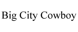 big city cowboy