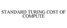 standard turing cost of compute