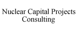 nuclear capital projects consulting