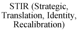 stir (strategic, translation, identity, recalibration)