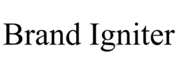 brand igniter