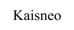 kaisneo