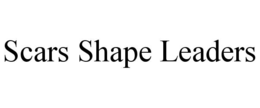 scars shape leaders
