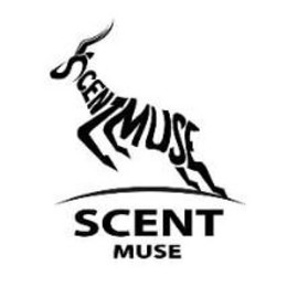 scentmuse scent muse