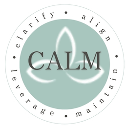 . calm clarify align leverage maintain