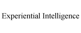 experiential intelligence