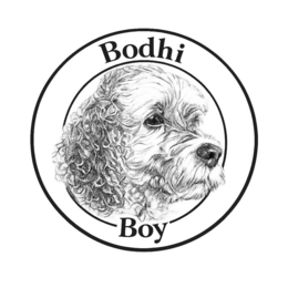 bodhi boy