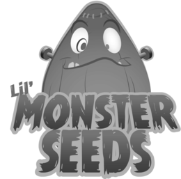 lil' monster seeds