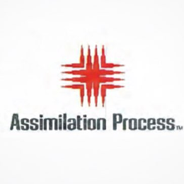 assimilation process