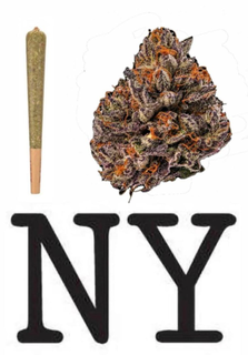 cannabis nyc
