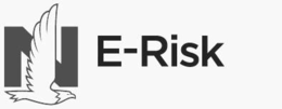 n e-risk