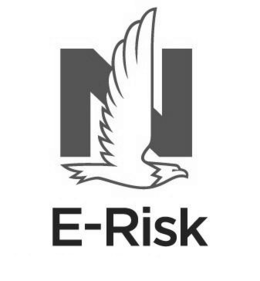 n e-risk