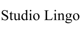 studio lingo