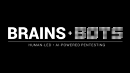 brains + bots human-led - ai-powered pentesting
