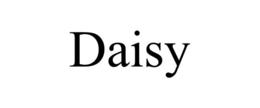 daisy