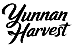yunnan harvest