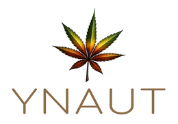ynaut