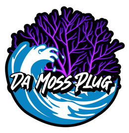 da moss plug