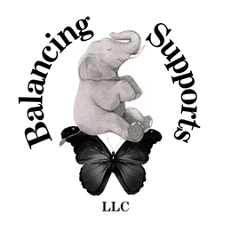 balancing supports llc