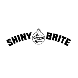 shiny brite