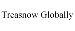 treasnow globally