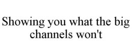showing you what the big channels won't