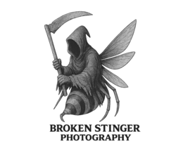 broken stinger photography
