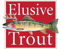 elusive trout