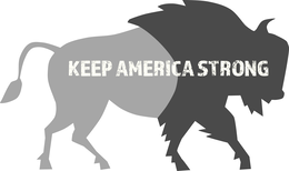 keep america strong